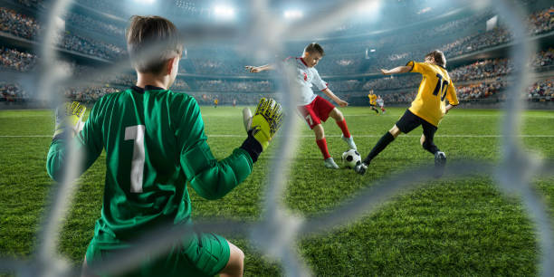 不仅曾在中 不仅曾在中